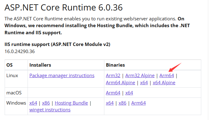arm64_runtime