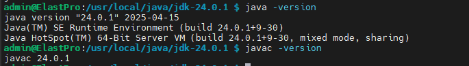 java_version